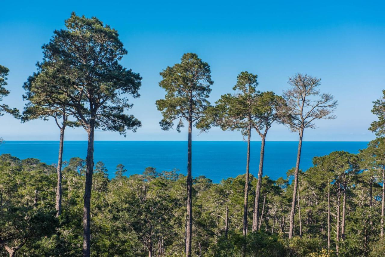 3707 Pacific'S Edge Sanctuary Home Carmel-by-the-Sea エクステリア 写真